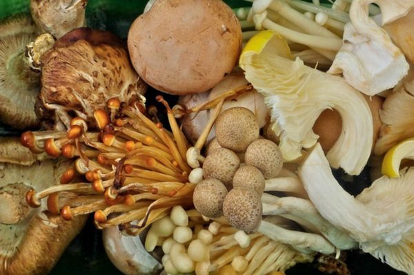 Notting Hill Farmers' Market by null