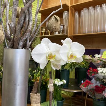 Rose Island Florist - Florists Near Me - Brooklyn, New York Rose Island Florist - Florists Near Me - Brooklyn, New York