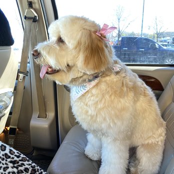 PetSmart - Pet Training Near Me - Bowie, Maryland
