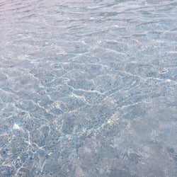 Surf & Swim, Audubon Park