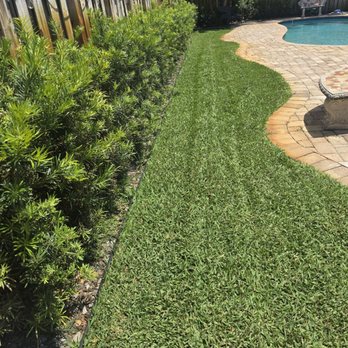 Nutra Green Pest Control - Pest Control Near Me - Pompano Beach, Florida Nutra Green Pest Control - Pest Control Near Me - Pompano Beach, Florida