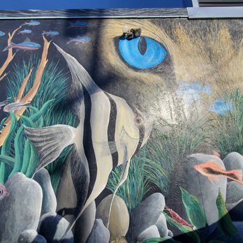 Sea Life Murals - Mural - Public Art Near Me - Hayward, California Sea Life Murals - Mural - Public Art Near Me - Hayward, California