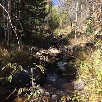 Hollowell Park Trailhead - Parks Near Me - Estes Park, Colorado