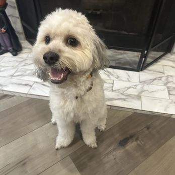 Happiness Grooming - Pet Groomers Near Me - Van Nuys, California