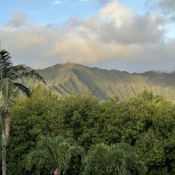 Paradise Bay Resort - Thousands of birds living in these trees -- sounded like Disney's enchanted tiki room. - Hotels Near Me - Kaneohe, Hawaii Paradise Bay Resort - Thousands of birds living in these trees -- sounded like Disney's enchanted tiki room. - Hotels Near Me - Kaneohe, Hawaii