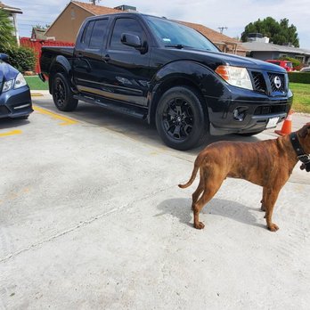Precision Auto Glass and Tint - Windshield Installation & Repair Near Me