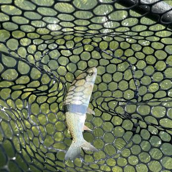 Reel Anglers Fly Shop - Outdoor Gear Near Me - Grass Valley, California