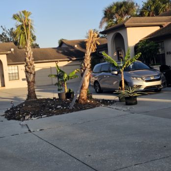 Blue Sky Landscaping - dying tree - Artificial Turf Near Me - Sarasota, Florida Blue Sky Landscaping - dying tree - Artificial Turf Near Me - Sarasota, Florida