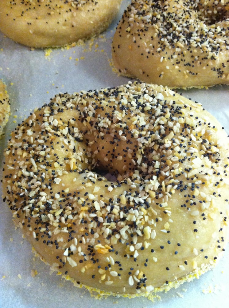 Home Free Bagels Logo