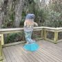 Photo of The Orange City Blue Springs Manatee Festival