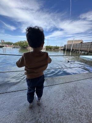 Dolphin Research Center by null