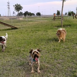 Pipican Parque Guadaira 2