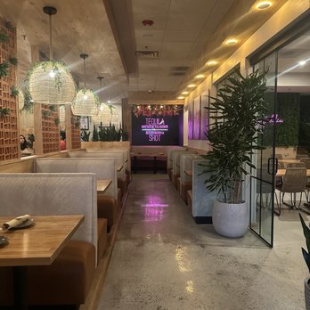 Lady Dahlia Tequila Bar - Bars Near Me - Mount Prospect, Illinois