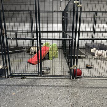 The Dog Lodge - Pet Boarding Near Me - Aromas, California The Dog Lodge - Pet Boarding Near Me - Aromas, California