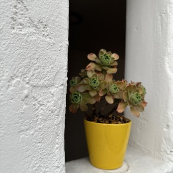 Palihouse Santa Barbara - Hotels Near Me - Santa Barbara, California