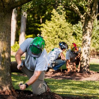 Brandenberger Tree Care Professionals - Instead of removal, sometimes your tree just needs a little help. Our health care specialists can make sure your trees are healthy and safe. - Tree Services Near Me - Auburn, Indiana Brandenberger Tree Care Professionals - Instead of removal, sometimes your tree just needs a little help. Our health care specialists can make sure your trees are healthy and safe. - Tree Services Near Me - Auburn, Indiana