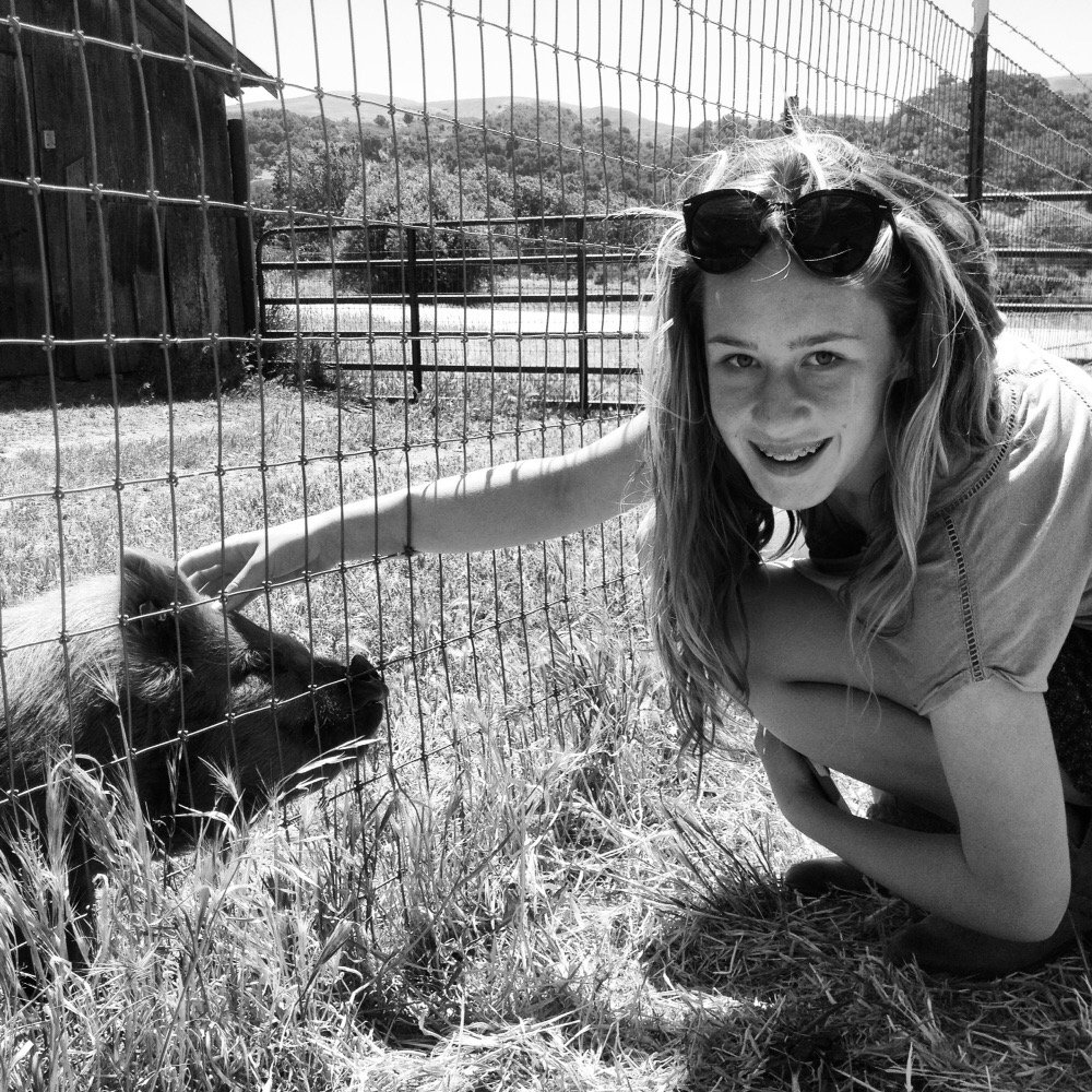 Folded Hills - Farmstead - Such fun stopping after a day at Tajiguas Beach- picked up some delicious cookies & met a pot bellied piglet. - Farms Near Me - Gaviota, California Folded Hills - Farmstead - Such fun stopping after a day at Tajiguas Beach- picked up some delicious cookies & met a pot bellied piglet. - Farms Near Me - Gaviota, California