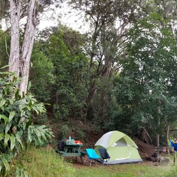 Koke'e State Park - Camping in Koke'e Campground - Parks Near Me