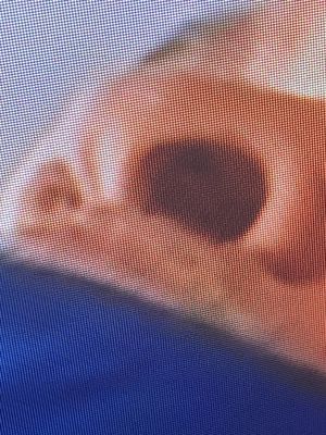 Port of Oakland by null