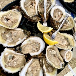 Chimichurri Raw Oysters