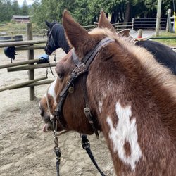 The Hitch n Post Horseback Adventures