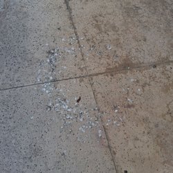 Santa Fe Springs City Library - Bird feces