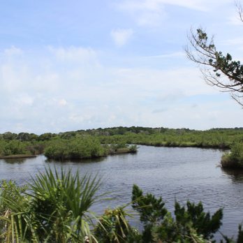 Ormond Scenic Loop & Trail - hanging out the window while John drove- taking pictures! - Hiking Near Me - Ormond Beach, Florida
