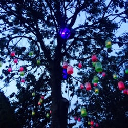 Ruigoord - Georgie's Wundergarten