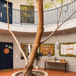 Learning Jungle - La Mesa