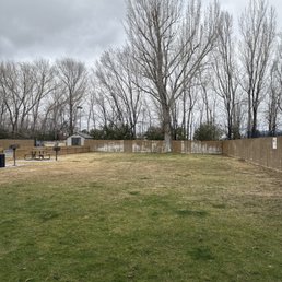 Dog area in the back