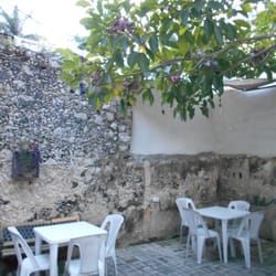 La Casa de Ágata - Patio fresco para echar la chelita