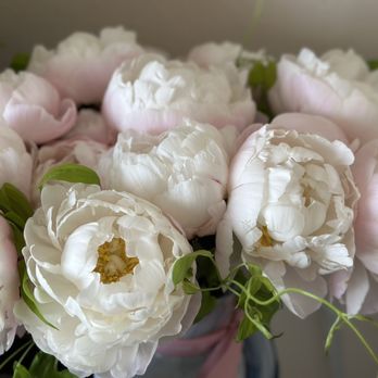 Gentle Beast Flower - Peonies - Florists Near Me - Honolulu, Hawaii