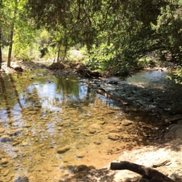 Beautiful creek. Just watch out for poison ivy!