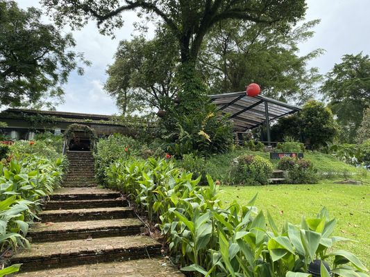 RedDot Brewhouse by null