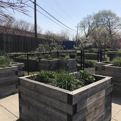 Curtis 50 Cent Jackson Community Garden