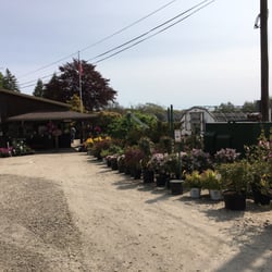 Sylvan Nursery - Nice plants near the office