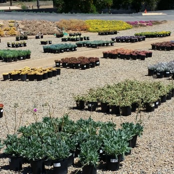 Oasis Water Efficient Gardens - Nurseries & Gardening Near Me - Escondido, California