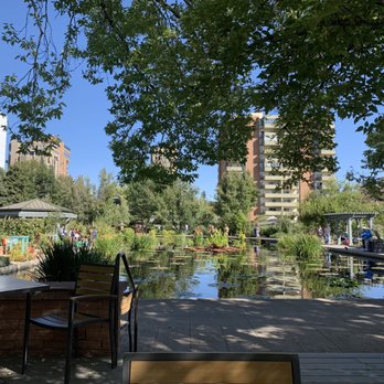Hive Garden Bistro - View of the Monet pond from our table - American Near Me - Denver, Colorado Hive Garden Bistro - View of the Monet pond from our table - American Near Me - Denver, Colorado