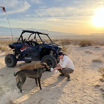 Happy Trails Rental - strays in the desert - ATV Rentals/Tours Near Me - Lucerne Valley, California