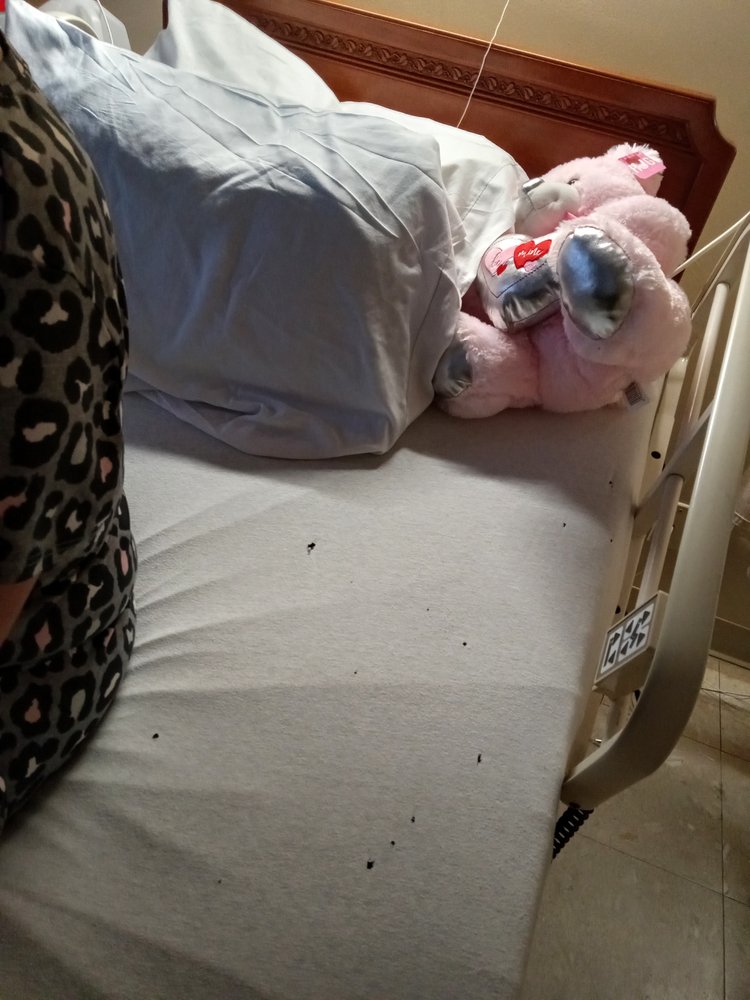 CAREONE AT NORTHAMPTON Updated November 2024 65 Photos 548 Elm St