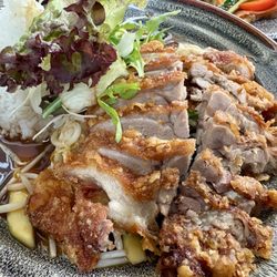 Codo - Lunch special crispy duck with vegetables and rice and drink 15 euro.