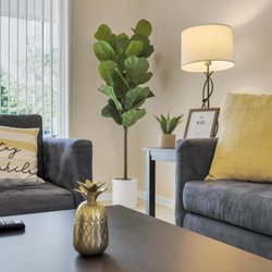 Mockingbird Management Group - Luxury and comfort in every stay.