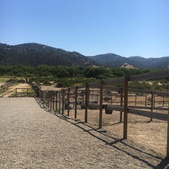 Ostrichland USA - So much land for the emu and ostrich to roam around and enjoy. - Attraction Farms Near Me - Solvang, California