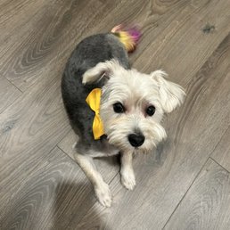 Butter at home, feeling himself after he went to the spa. Butter at home, feeling himself after he went to the spa.
