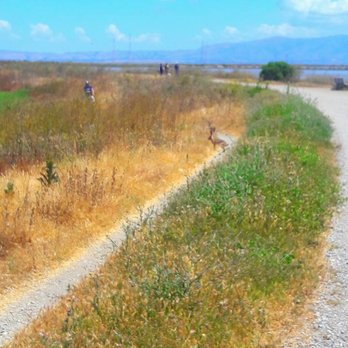Adobe Creek Loop Trail - Hiking Near Me - Palo Alto, California