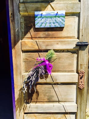 Sequim Lavender Festival by null