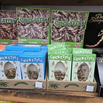 Grandpa Joe’s Candy Shop - Candy Stores Near Me - Ocala, Florida