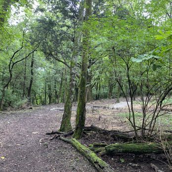 Liberty Park - Disc Golf Near Me - Franklin, Tennessee
