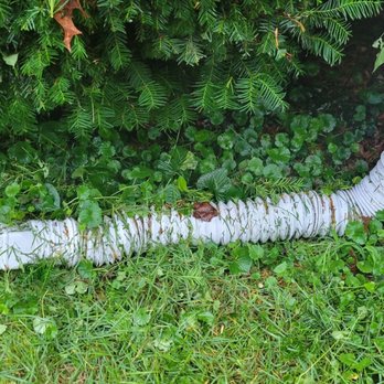 Wilson Loyalty Landscaping Services - Didn't cut by the bushes and side of house - Landscaping Near Me Wilson Loyalty Landscaping Services - Didn't cut by the bushes and side of house - Landscaping Near Me