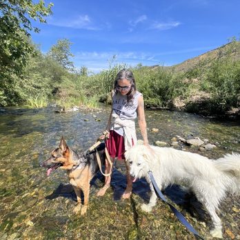 Bar K9 Dog Training - Pet Training Near Me